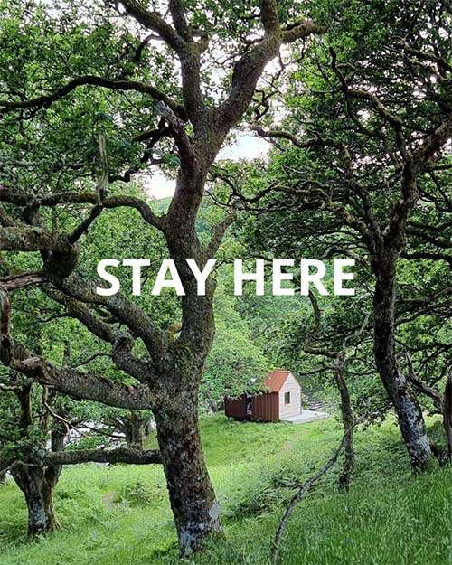 Accommodation Guides